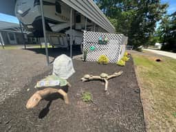 1329 Saluda Island